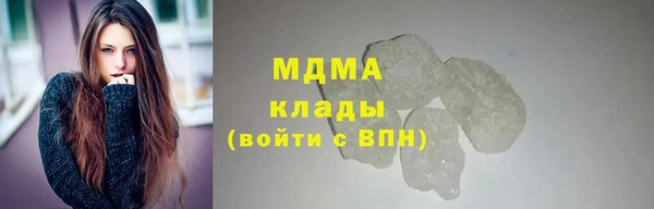 тгк Дмитриев