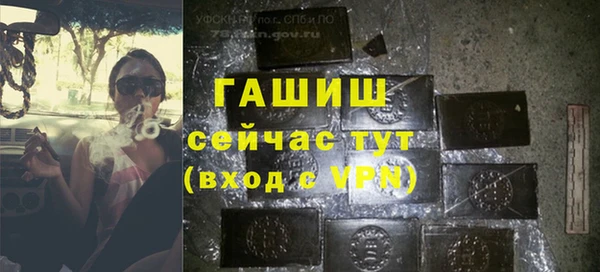 тгк Дмитриев