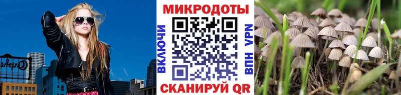 Псилоцибиновые грибы GOLDEN TEACHER  наркотики  hydra как войти  Заволжье 